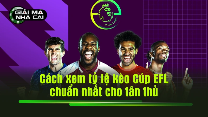 Cách xem tỷ lệ kèo Cúp EFL chuẩn nhất cho tân thủ