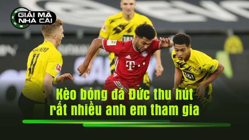 Tỷ lệ kèo bóng đá Đức thu hút rất nhiều anh em tham gia