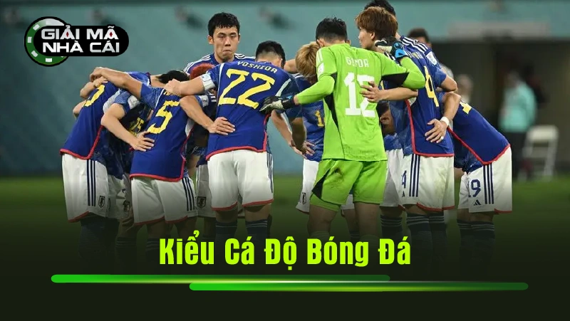 Kiểu Cá Độ Bóng Đá