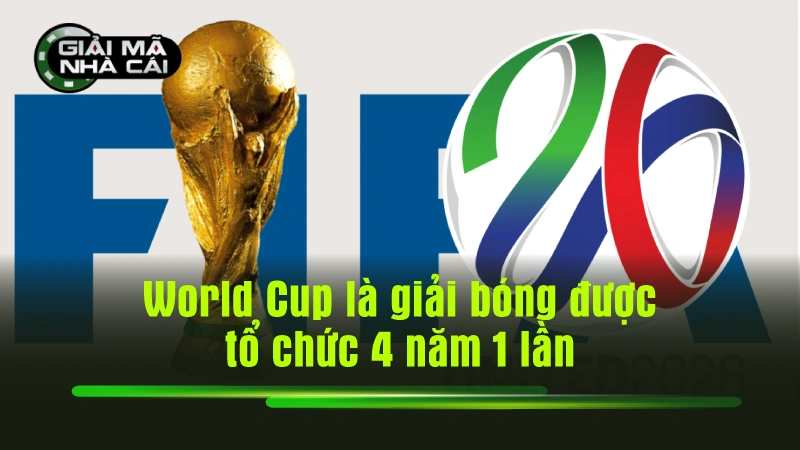World Cup là giải bóng được tổ chức 4 năm 1 lần