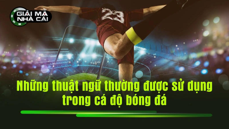 Những thuật ngữ thường được sử dụng trong cá độ bóng đá