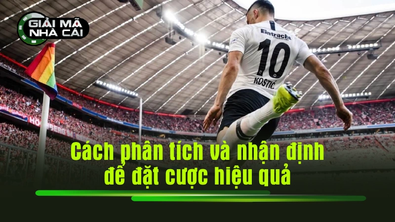 Cách phân tích và nhận định để đặt cược hiệu quả