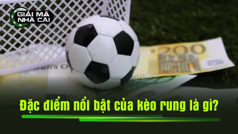 Đặc điểm nổi bật của kèo rung là gì?