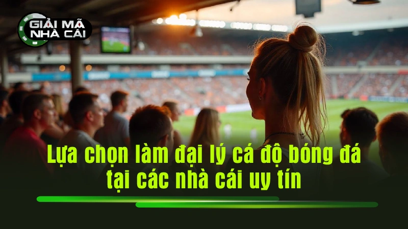 Lựa chọn làm đại lý cá độ bóng đá tại các nhà cái uy tín