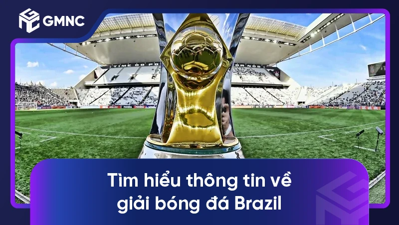 Tìm hiểu thông tin về giải bóng đá Brazil