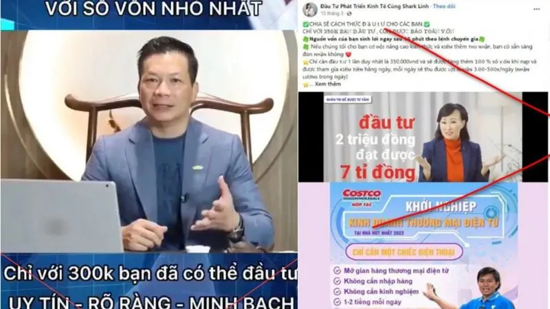 Tận dụng sức ảnh hưởng của KOLs/Shark để làm mồi nhử