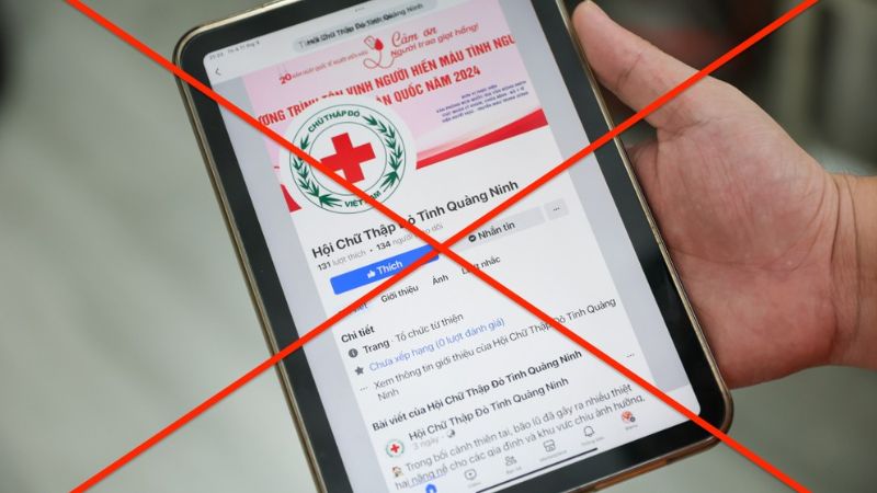 Các trang giả mạo hỗ trợ bão lũ